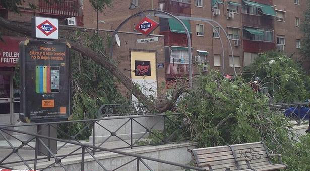 Se desploma un árbol sobre la boca de metro de Congosto