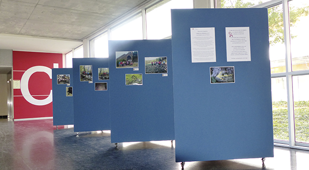 Exposición fotográfica de la segunda edición del ‘Camino de esperanza’ en el Hospital Infanta Leonor