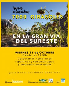 cosechandobarrio-girasoles-vallecas01