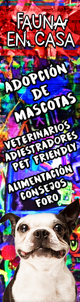 Fauna en Casa - Alto