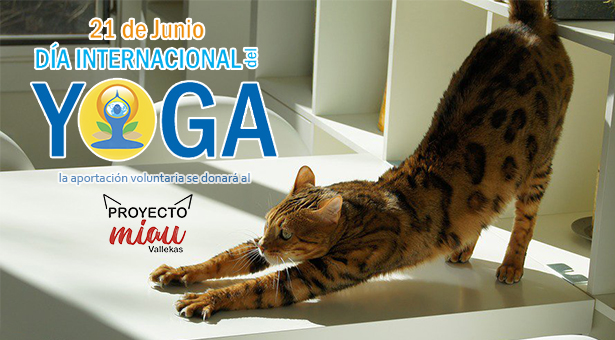 La AAVV Pau del Ensanche de Vallecas celebra el Día Internacional del Yoga