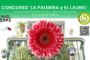Concurso de ventanas, balcones y terrazas en Puente de Vallecas – Espacio vecinal La Palmera y el Laurel