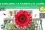 II Ed. del Concurso de Ventanas, Balcones y Terrazas ‘La Palmera y el Laurel’