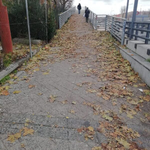 Acumulación de hojas caídas a lo largo de la pasarela